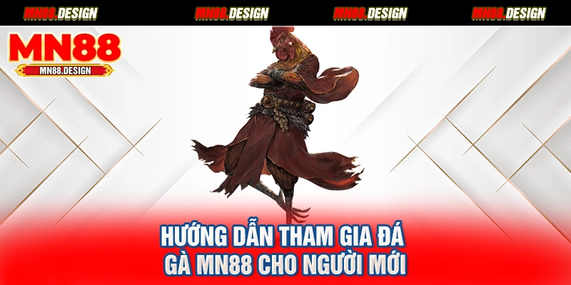 Hướng dẫn tham gia đá gà MN88 cho người mới