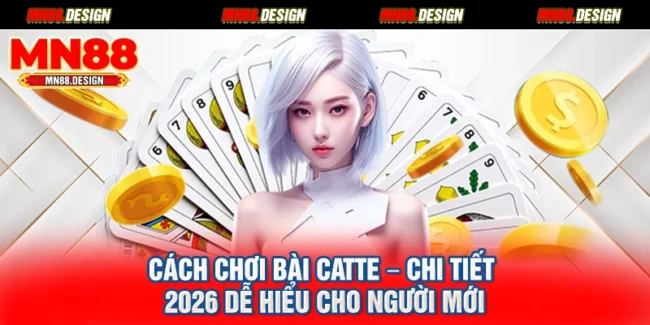 Cách Chơi Bài Catte – Chi Tiết 2026 Dễ Hiểu Cho Người Mới