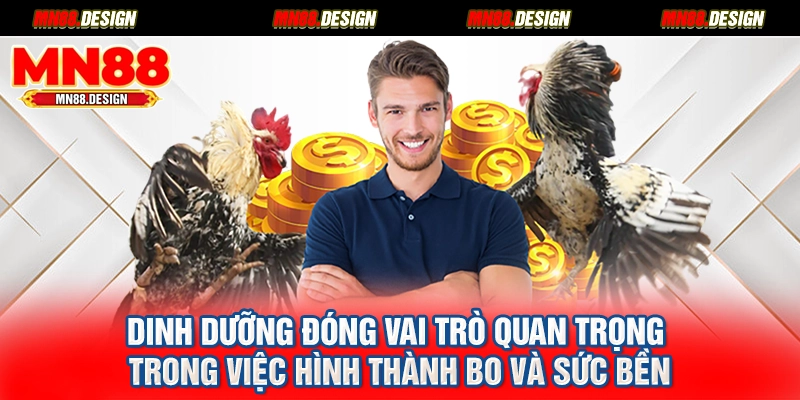 Dinh dưỡng đóng vai trò quan trọng trong việc hình thành bo và sức bền
