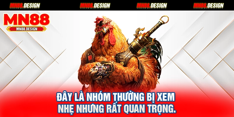 Đây là nhóm thường bị xem nhẹ nhưng rất quan trọng.