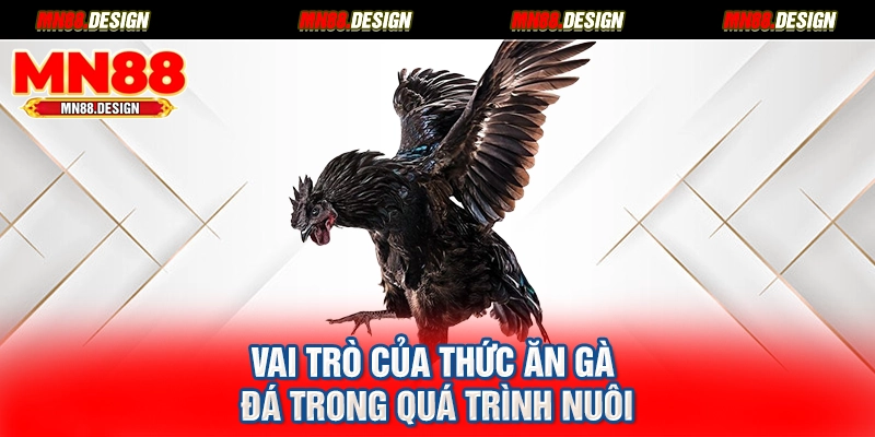 Vai trò của thức ăn gà đá trong quá trình nuôi