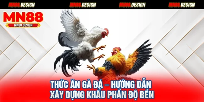 Thức Ăn Gà Đá – Hướng Dẫn Xây Dựng Khẩu Phần Độ Bền