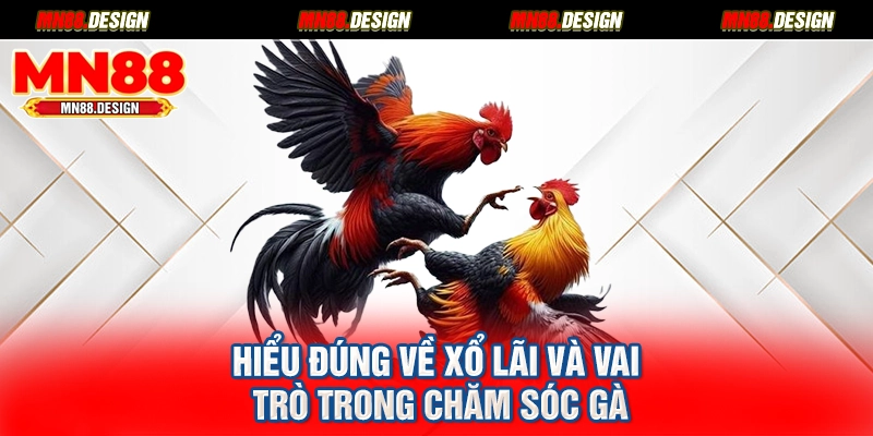 Hiểu đúng về xổ lãi và vai trò trong chăm sóc gà