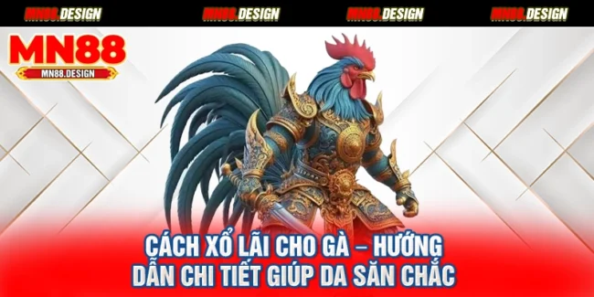 Cách Xổ Lãi Cho Gà – Hướng Dẫn Chi Tiết Giúp Da Săn Chắc