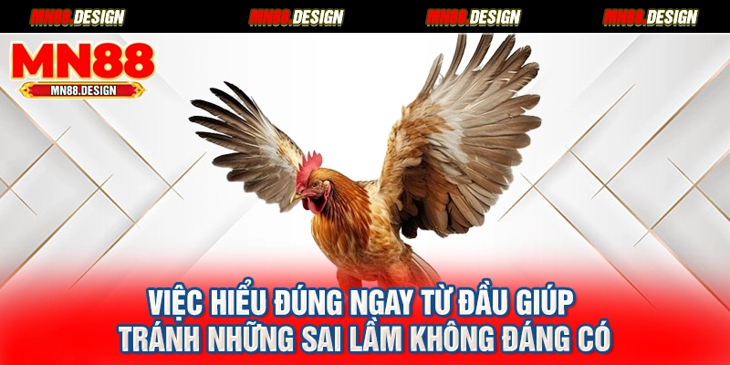 Việc hiểu đúng ngay từ đầu giúp tránh những sai lầm không đáng có