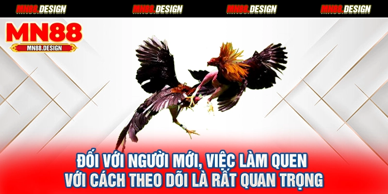 Đối với người mới, việc làm quen với cách theo dõi là rất quan trọng