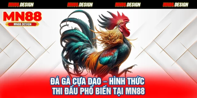 Đá Gà Cựa Dao – Hình Thức Thi Đấu Phổ Biến Tại Mn88